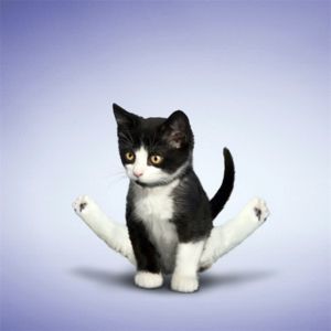 Фото: ru1.anyfad.com