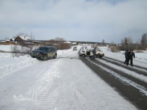 братск нелетка