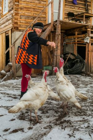 Ветеринар Ирина Янченко помогает подруге-фермеру