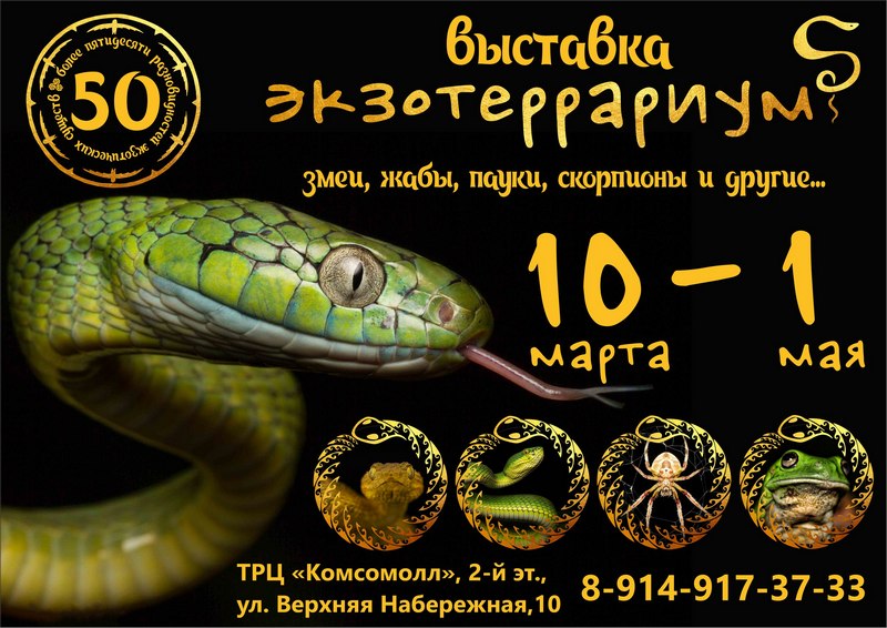Фото: www.irkdetzoo.ru