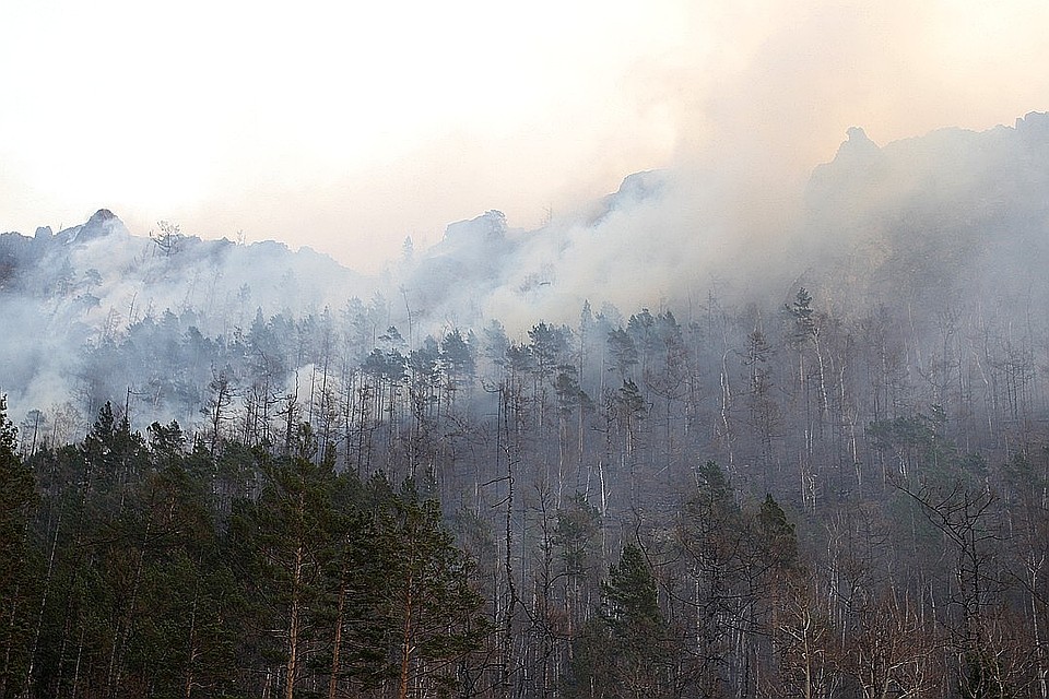 2232 гектара иркутского леса в огне