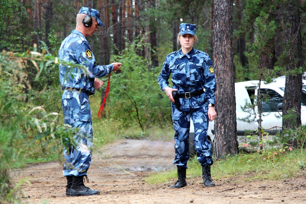 Форма фсин картинки