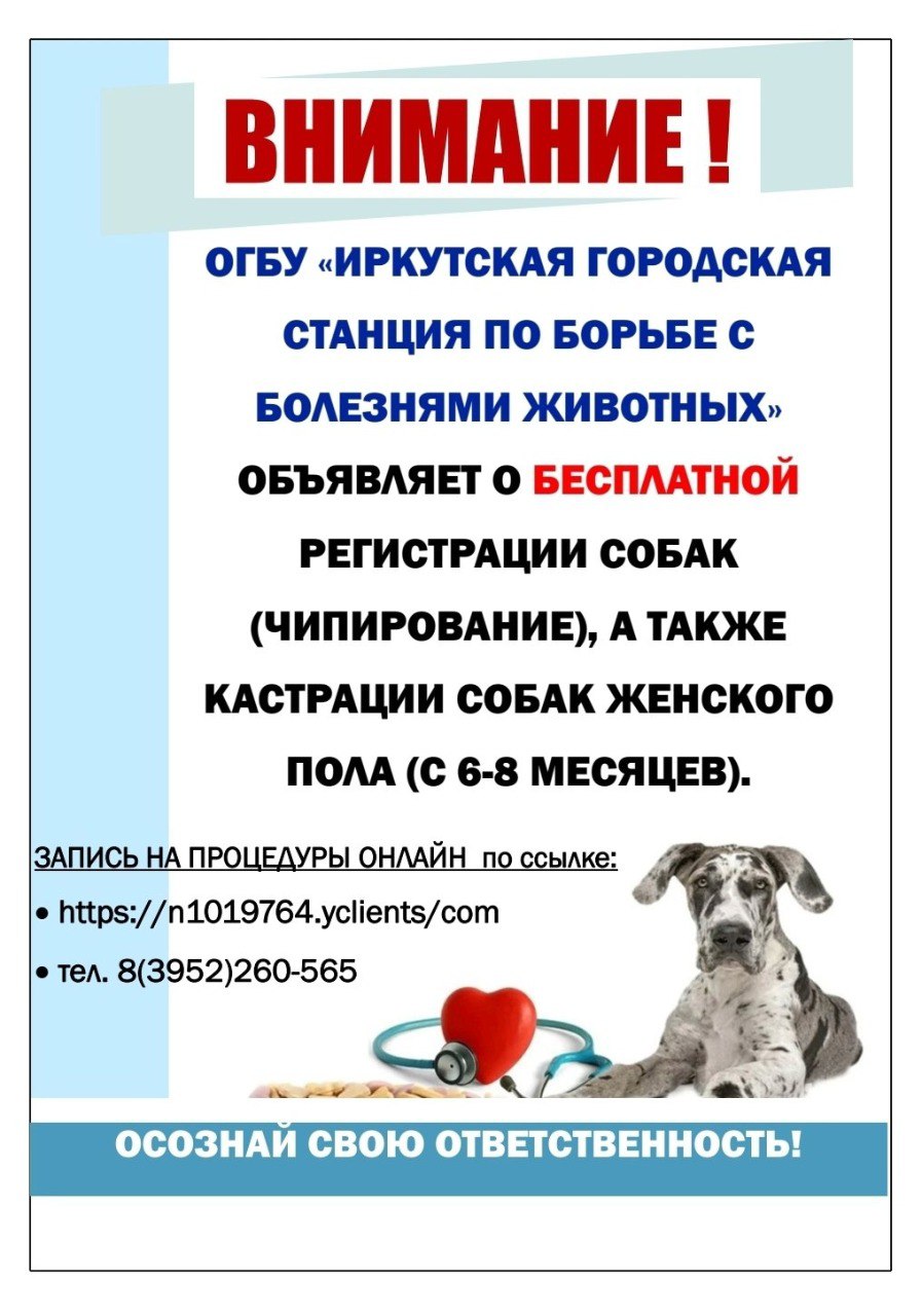 Кастрация Собак Стоимость В Новосибирске